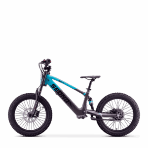Sedna SX20