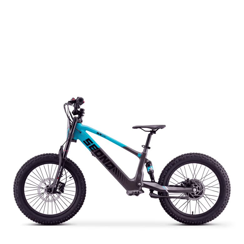 Sedna SX 20